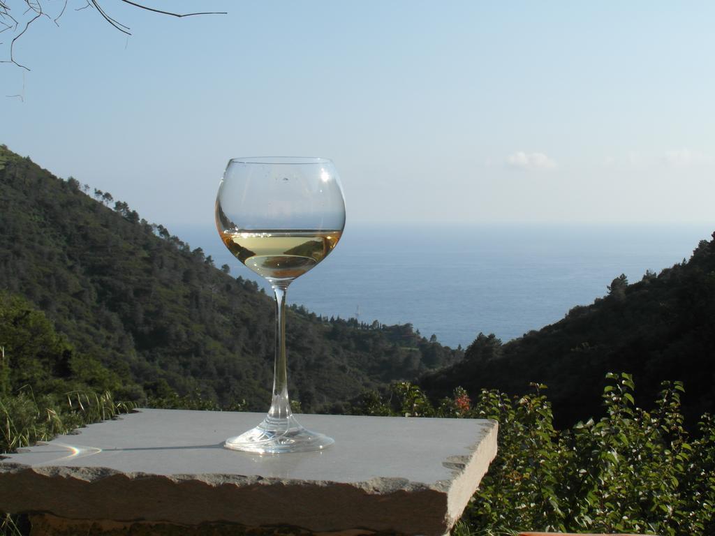 Agriturismo Costa Di Campo Vernazza Exterior foto