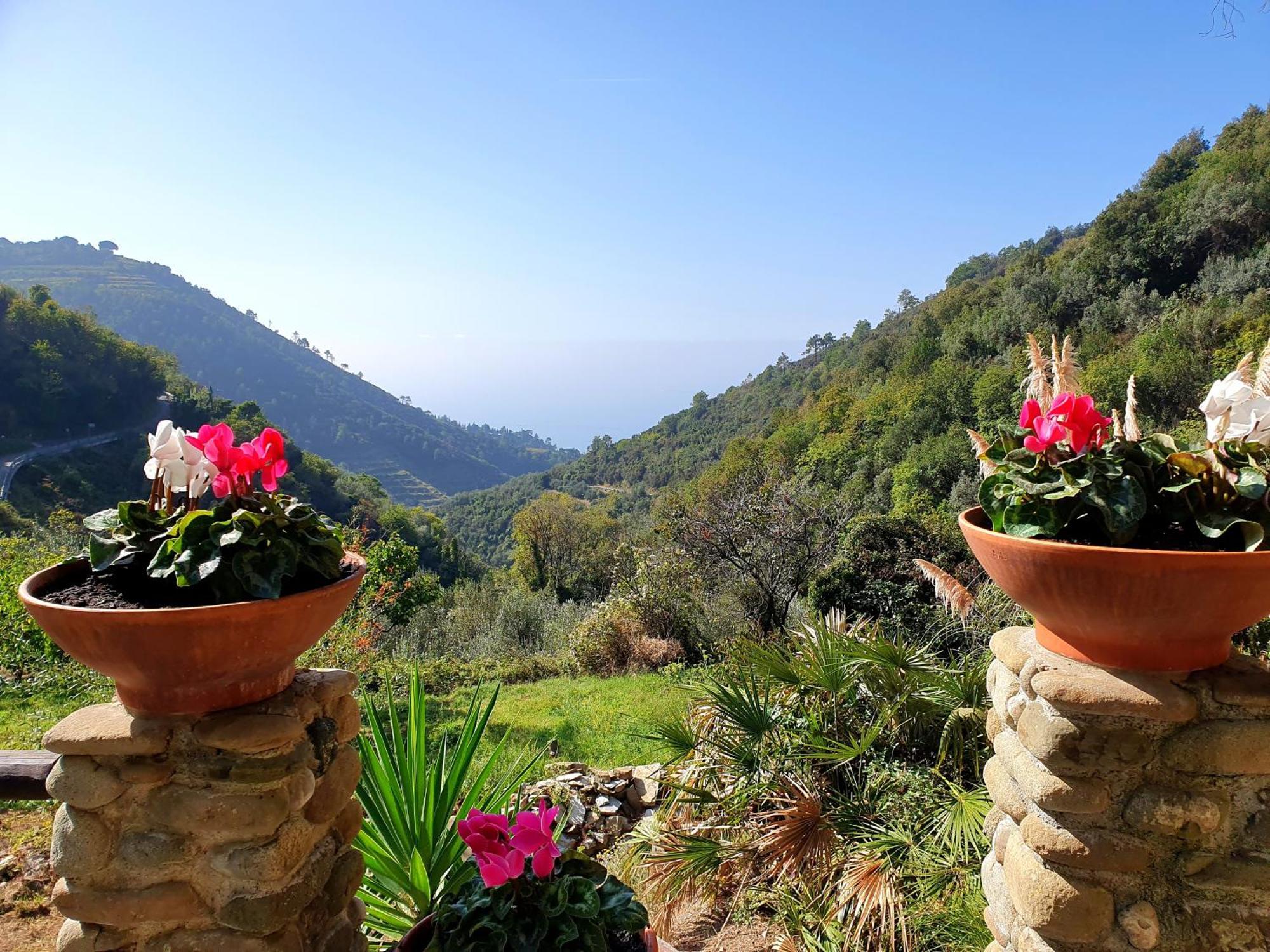 Agriturismo Costa Di Campo Vernazza Exterior foto