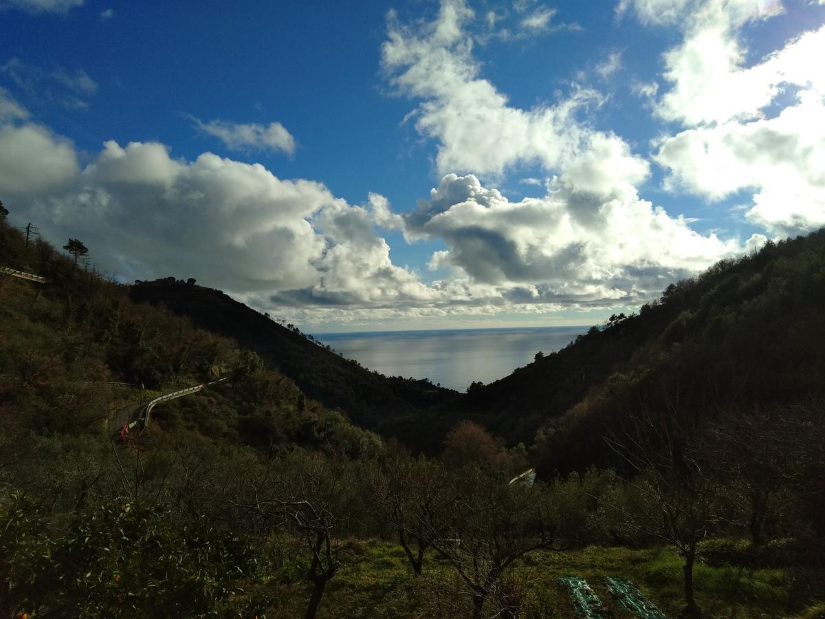 Agriturismo Costa Di Campo Vernazza Exterior foto