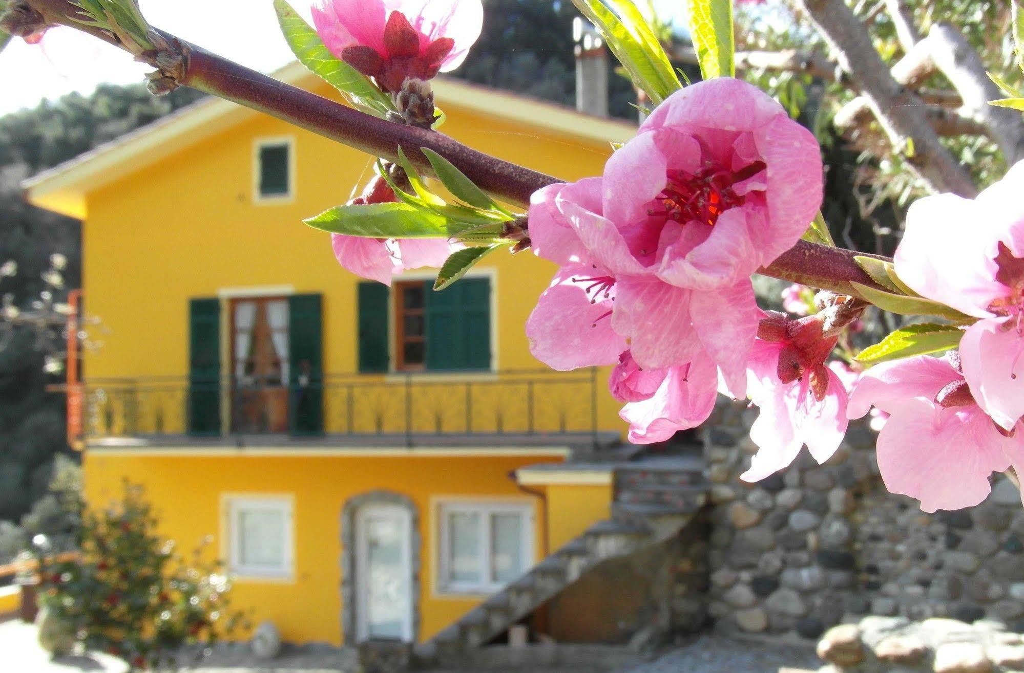 Agriturismo Costa Di Campo Vernazza Exterior foto