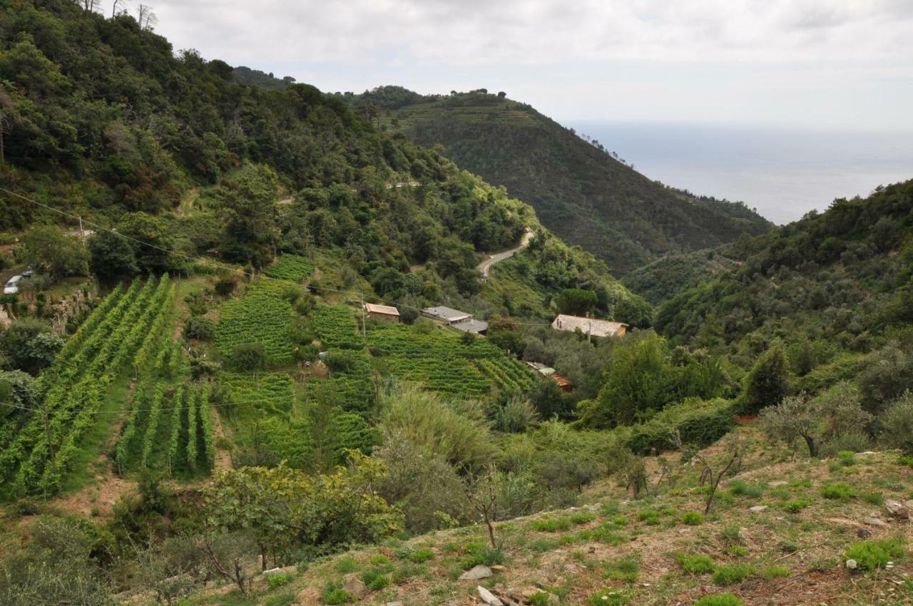 Agriturismo Costa Di Campo Vernazza Exterior foto